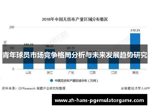 青年球员市场竞争格局分析与未来发展趋势研究