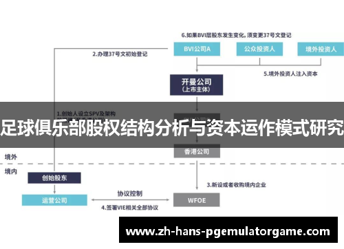 足球俱乐部股权结构分析与资本运作模式研究