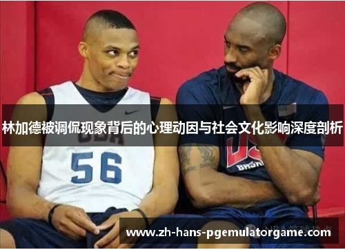 林加德被调侃现象背后的心理动因与社会文化影响深度剖析