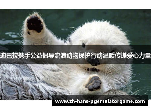 迪巴拉携手公益倡导流浪动物保护行动温暖传递爱心力量