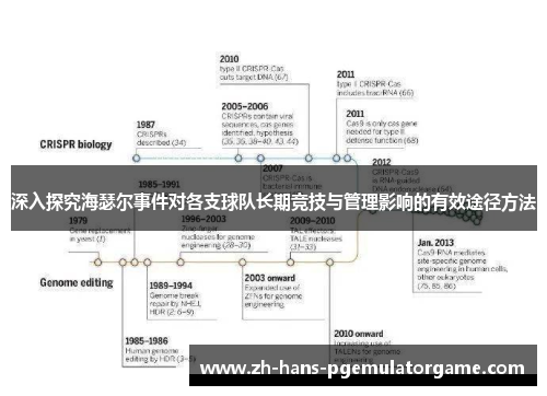 深入探究海瑟尔事件对各支球队长期竞技与管理影响的有效途径方法 深入探究海瑟尔事件对各支球队长期竞技与管理影响的有效途径方法