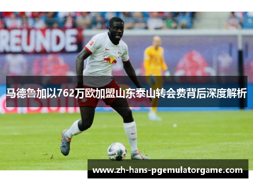马德鲁加以762万欧加盟山东泰山转会费背后深度解析
