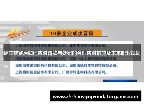 魏震禁赛后如何应对罚款与处罚的合理应对措施及未来职业规划 魏震禁赛后如何应对罚款与处罚的合理应对措施及未来职业规划