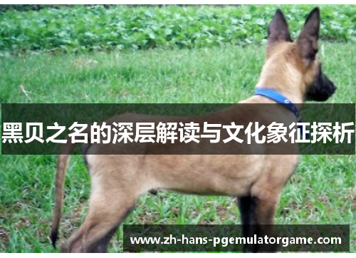 黑贝之名的深层解读与文化象征探析