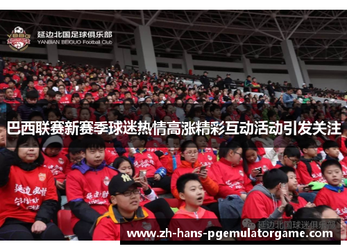 巴西联赛新赛季球迷热情高涨精彩互动活动引发关注