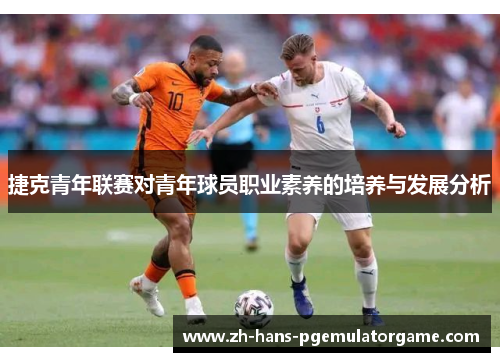 捷克青年联赛对青年球员职业素养的培养与发展分析