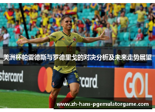 美洲杯帕雷德斯与罗德里戈的对决分析及未来走势展望